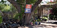 A Democratic Alliance (DA) poster hangs in Vieira Monte’s (75) garden in Pomfret, on 11 April 2024. The only election posters scattered around the town belong to the DA. (Photo: Victoria O’Regan)