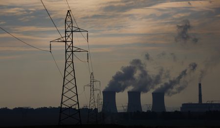 Mushrooms may hold the secret to saving the planet from coal emissions