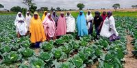 op-ed carl women farmers