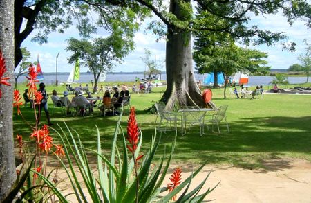 Pollution, dead animals and corruption: the tragedy of Lake Chivero, Harare's water supply