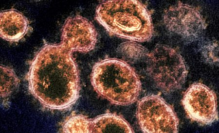 Advice to Government: SA can get through the Covid-19 maze ahead of the festive season – here's how