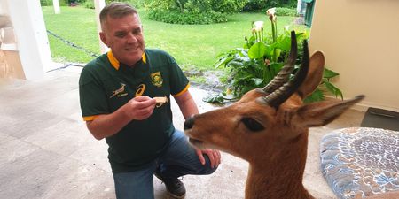 Player positions: Who’s who in the rugby team zoo?