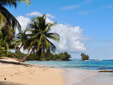 Digital Nomad: The Taco King of Carenero, Panama