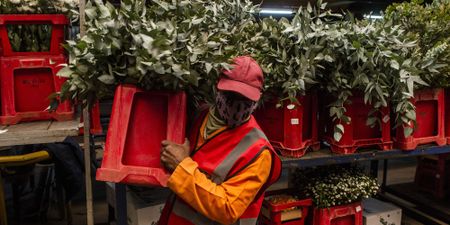 US near 11-month low; South Africa registers 2,585 new cases