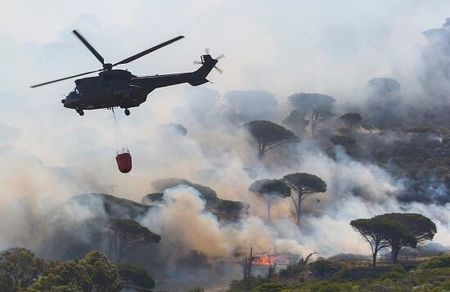 While you were sleeping: 12th January 2016