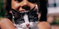 Tiny kitten. (Photo: Mieke Campbell for Unsplash)