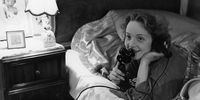 Oped-Wende-Dietrich