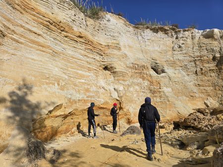 ‘Beyond the predictable’ — walking Soweto’s golden mile of memory, mine dust and hope