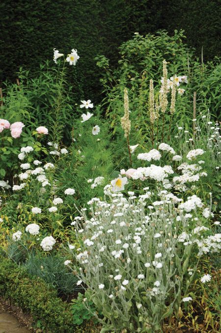 Bringing life back to the sterile suburban oasis