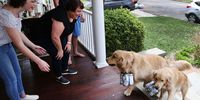HUNTINGTON VILLAGE, NEW YORK - MAY 03:  Lisa Fascilla, with children Nina and Alex  receive a beer delivery from Karen and Mark Heuwetter and their two dogs Buddy and Barley on May 03, 2020 in Huntington Village, New York.  Mark and Karen Heuwetter own the Six Harbors Brewery and have trained their two Golden Retrievers Buddy and Barley to help them deliver beer to their customers during the coronavirus COVID-19 pandemic.  The dogs are fitted with a four pack of empty beer cans around their necks and meet customers at their doorstep while Mark and Karen carry the beer to deliver behind them.  It has been comforting for the dogs who are enjoying the exercise and meeting people along the way.  The customers love seeing Buddy and Barley and enjoy petting and greeting them to go with their beer delivery. (Photo by Al Bello/Getty Images)