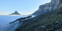 Rising Mist. Photographer: Anthea Van Wieringen</p>
<p>Screenshot 2025-07-11 at 16.37.56