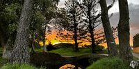 Sunrise in the park. Photographer: Jenni Bessesen