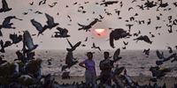 Beachgoers watch a flock of pigeons fly during the sunrise, at Edward Elliot's beach, in Chennai, India, 16 March 2023.  EPA-EFE/IDREES MOHAMMED