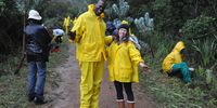 Horticulturist Mashudu Nndanduleni (left) and SANBI Seed Conservation Manager Victoria Wilman take a break from planting a row of rare silver trees (Leucadendron argenteum) in the Celia Forest near Tokai in the Western Cape. Credit SANBI