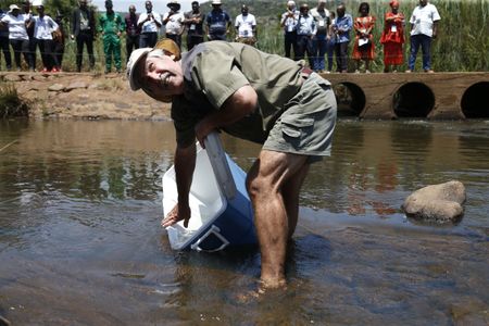 Reviving Mpumalanga rivers — tiny fish return to waters left lifeless by illegal mining