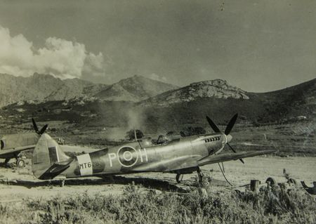 Flying Ace of the Karoo