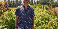 Andrew Tranquilini has worked as a market gardener and outdoor classroom teacher and was a founding member of the<br>seed company Living Seeds, in Portugal. Photo: Supplied