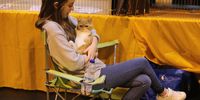Molly Summerfield cuddles her cat Mister P during the Governing Council of the Cat Fancy's 'Supreme Championship Cat Show' at the NEC Arena on October 24, 2015 in Birmingham, England. The one-day Supreme Cat Show is one of the largest cat fancy competitions in Europe with hundreds of cats being exhibited. Exhibitors aim to have their cat named as the show's 'Supreme Exhibit' from the winners of the individual categories of: Persian, Semi-Longhair, British, Foreign, Burmese, Oriental, Siamese.  (Photo by Christopher Furlong/Getty Images)