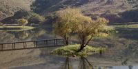 Japanese scene somewhere near Origstad. Photographer: F.D Rubin