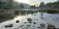 [Early morning on the Buffelsjagsrivier, Swellendam].  Photographer: [Simon Hull].