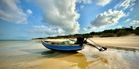 Tide out! Photo: Shaun McEwan</p>
<p>