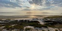 Bird’s Eye View of the West Coast National Park. Photographer:Monika Brink<br>