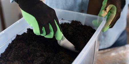 SA’s Agriculture Department logjam stalls exports and carbon credits