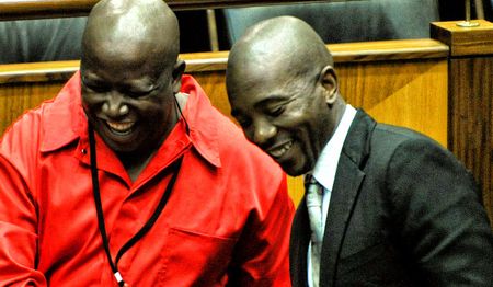 Young Blood vs Dead Wood: Where are the ANC’s Maimanes and Malemas?