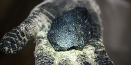 PGM producers have high hopes for hybrid vehicles