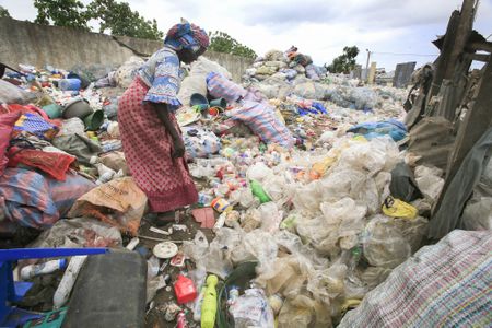 African unity and coordinated action could turn environmental crises into opportunities for growth