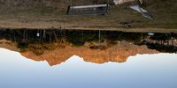 Jenni Bessesen : Jamie at sunrise in Keurboom Patk<br>