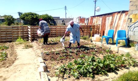 Photo essay: Maverick Citizen Food Garden Competition