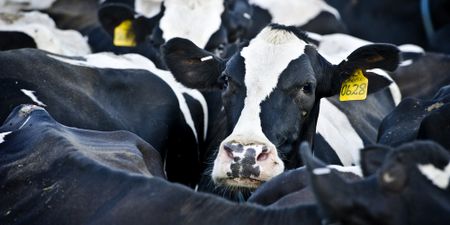 Why the global methane pledge is a big deal for the climate