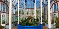 Riaan - PearsonConservatory