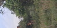 Hide & seek!