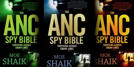 A Nightingale Sang in CR Swart Square: Moe Shaik and the greatest story not yet told