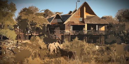 New Kruger Park concession conditions are causing jitters