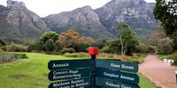 Kirstenbosch — a South African national treasure is going to seed, warn experts