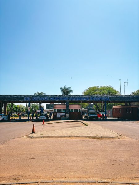 Wellness is a matter of life and death for Gauteng