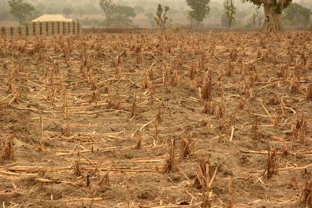 Cost of counter-terrorism for civilians in Lake Chad countries