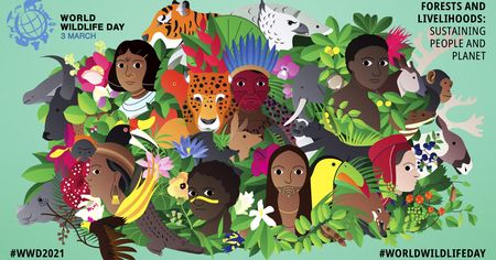 Civil society honours forests, raises more questions about vaccines and asks poets to reflect on rights