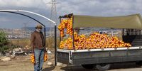 A street vendor in Soweto. Many people resort to selling items on the streets because of limited opportunities in the formal sector. (Photo: Gallo Images / Papi Morake)