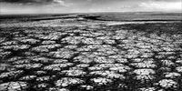 This series shows the dried-up areas of Lake Urmia, where nothing remains but terrible silence. © Samad Ghorbanzadeh, Iran, Shortlist, Professional, Landscape, 2021 Sony World Photography Awards