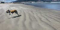 The beach is back!<br>Yay!