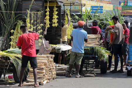 Sri Lanka scrambles to restore power after monkey causes islandwide outage