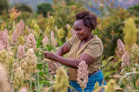 Women farmers don’t need charity but support to unlock Africa’s R13.2-trillion smallholder potential