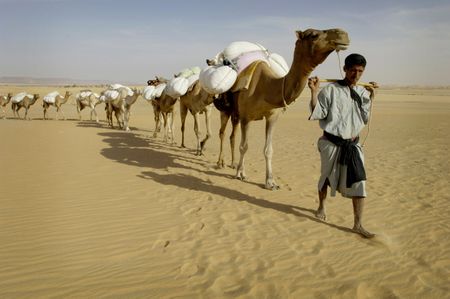 Sahel set to suffer the consequences of famine fatigue