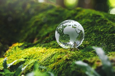 Collective environmental governance is our best hope to avert planetary ecological disaster