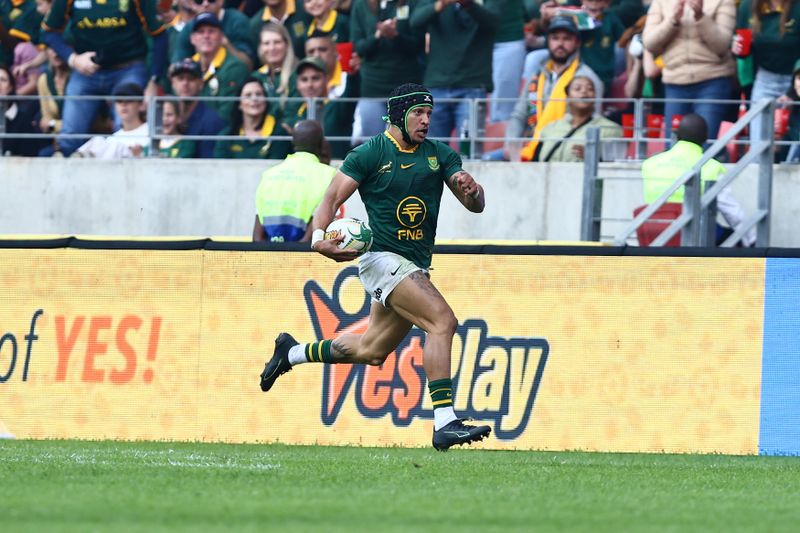 Twelve-try Boks rout Barbarians and find some answers to potential problems