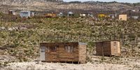 The occupation is currently home to about 4,000 people who mostly live in wooden structures spread across 1,800 hectares in the Elgin Valley. (Photo: Ashraf Hendricks)